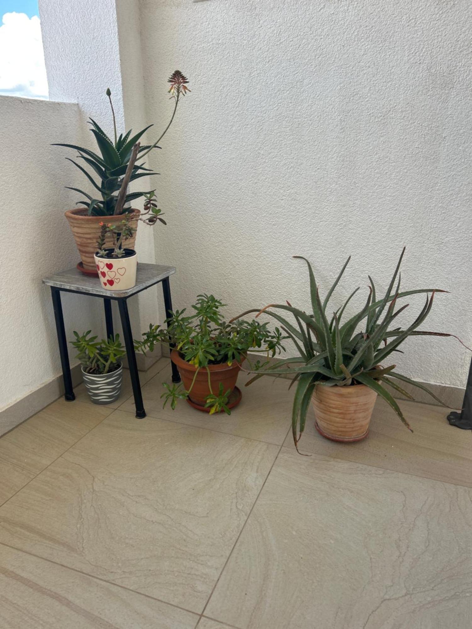 Apartments Purkovic Vodice Ngoại thất bức ảnh